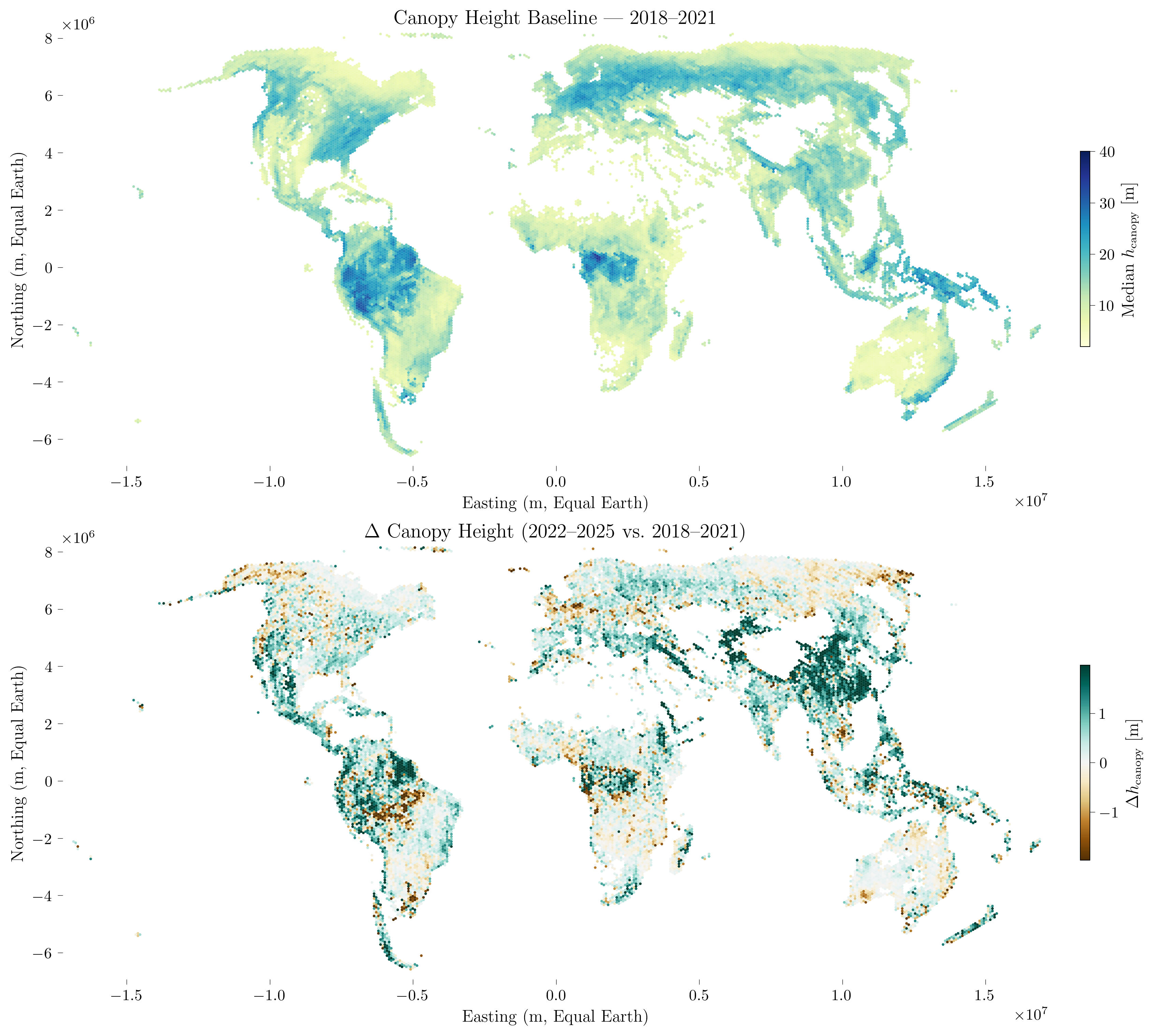 Global canopy dynamics from ICESat-2